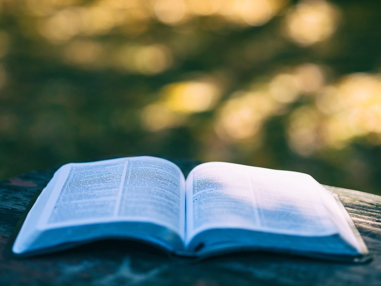 An open book in sunlight