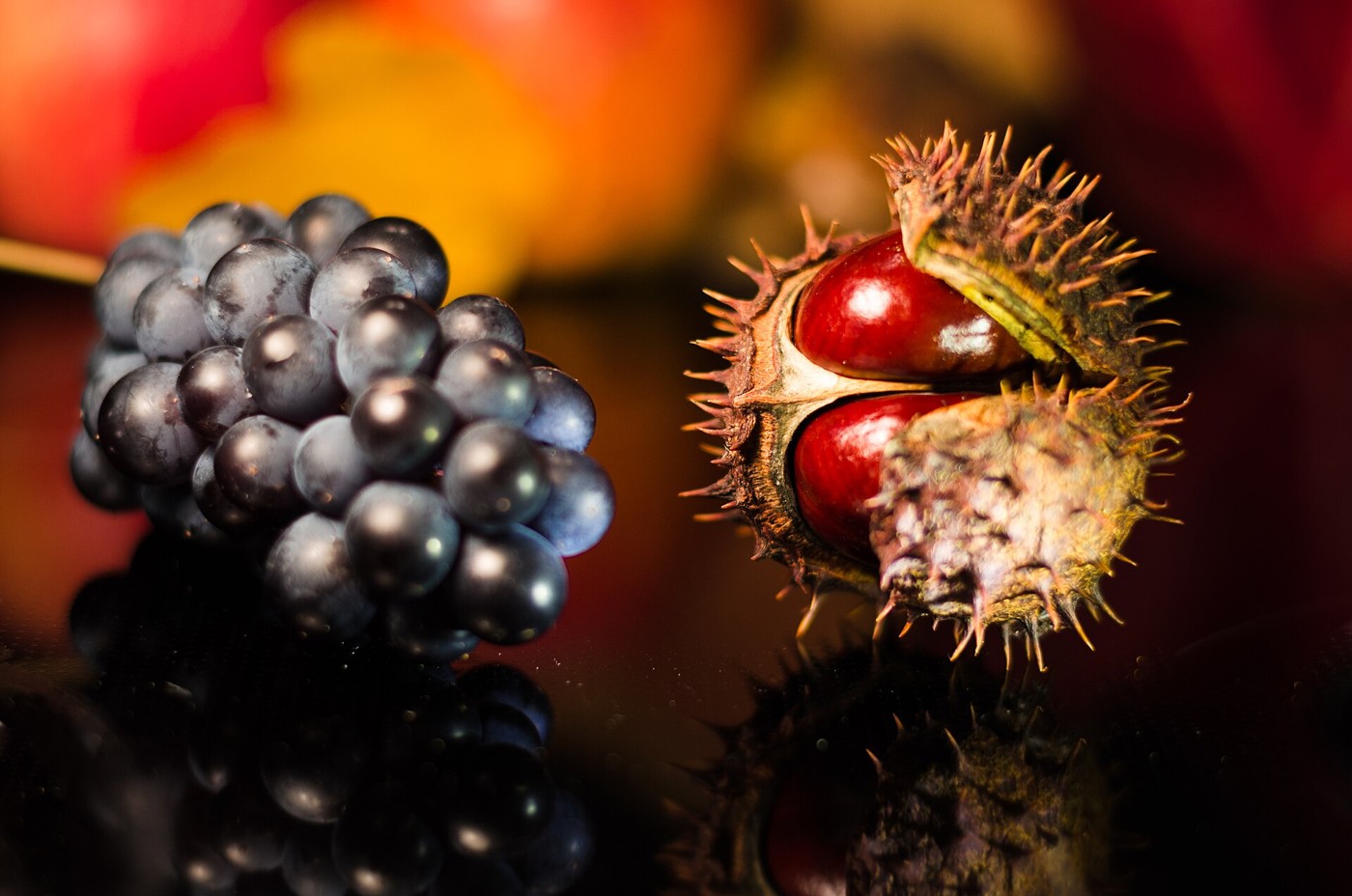 Real photograph of an autumn still life with natural seasonal objects