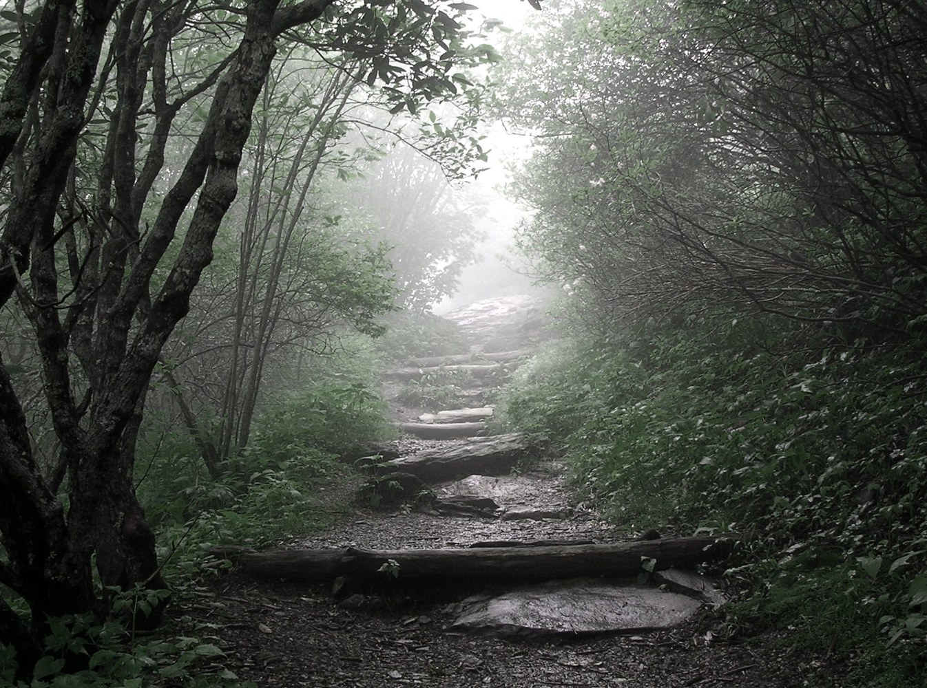 Misty Mountains   Flickr   monsieuricon